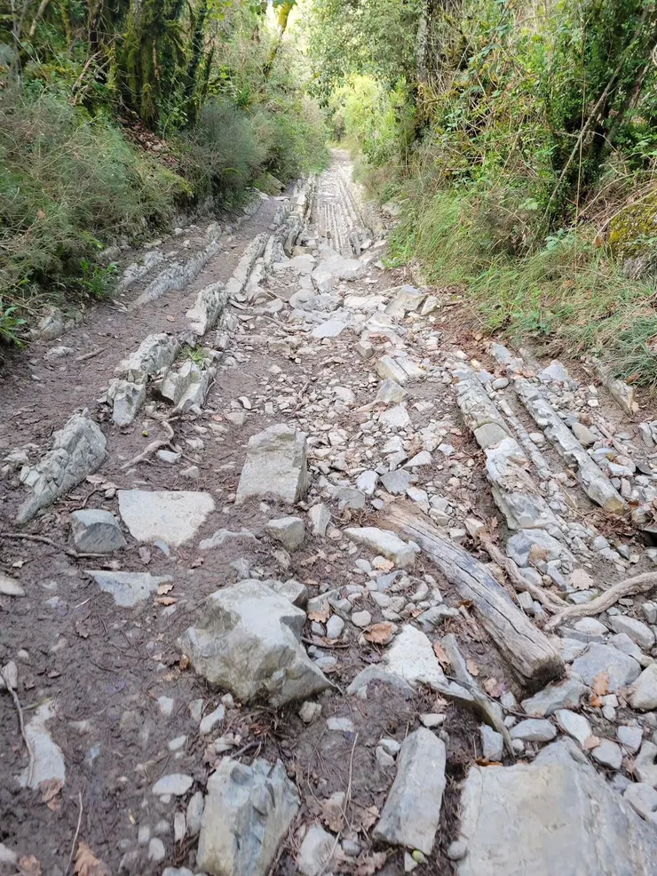 Photo by Vicente Tamayo