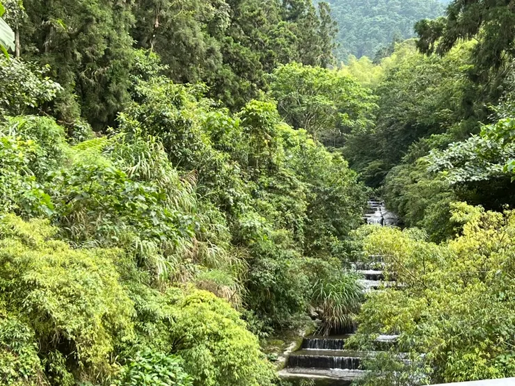 這條溪就是「溪」頭名字裡的溪，這裡真的是源頭