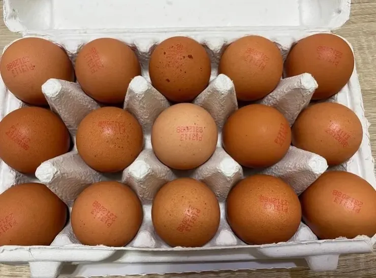 認明最後一個英文字母