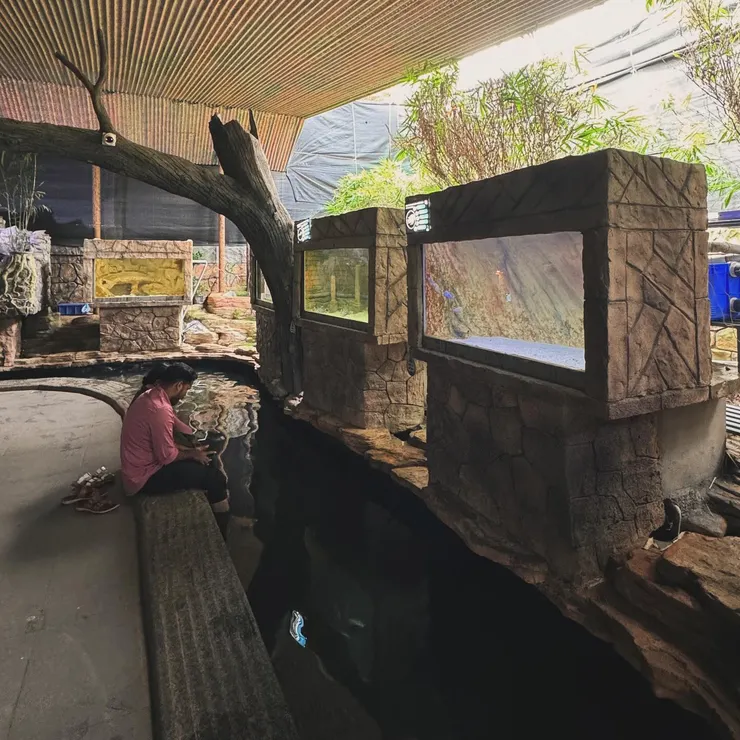 不是溫泉魚的魚兒咬腳皮區