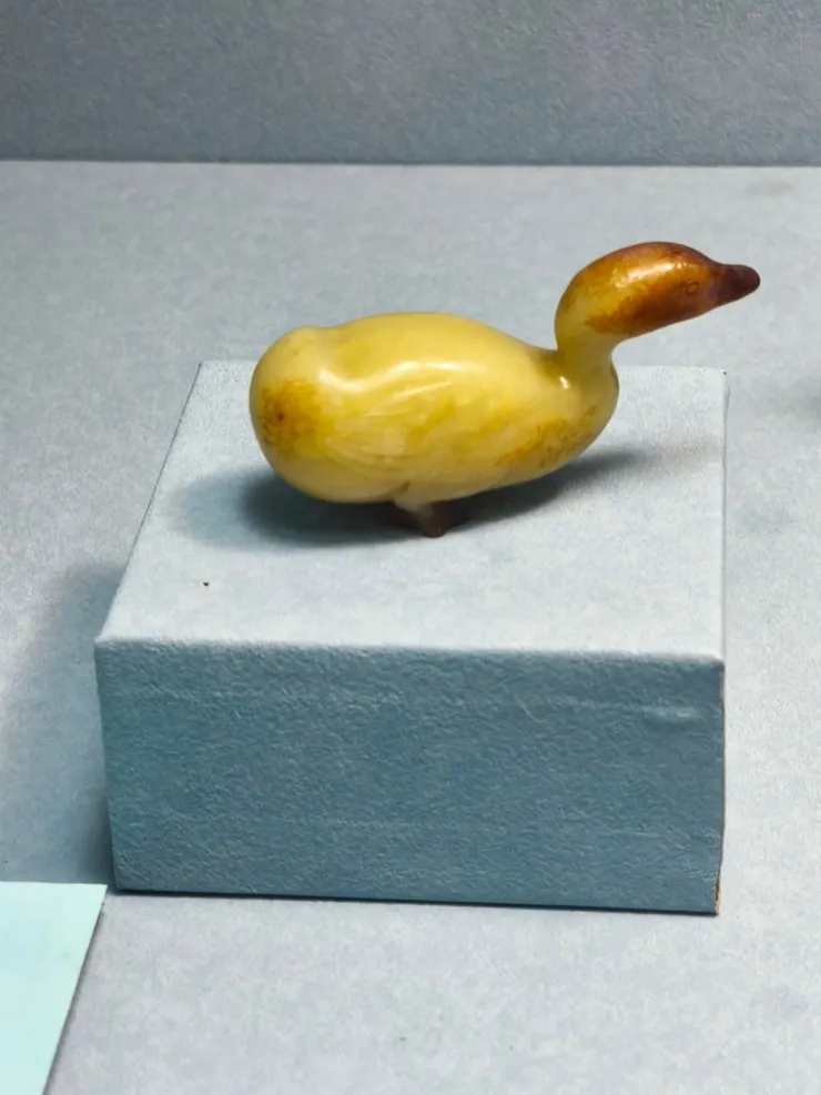 鴨子 不 是鴛鴦吧？