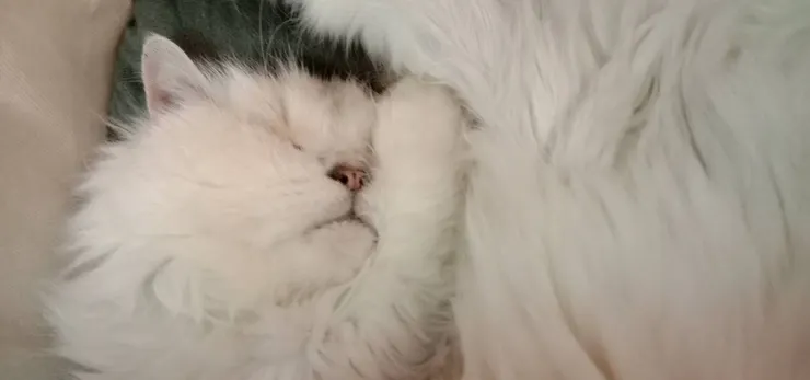 蒼太永遠都是這麼可愛又貼心