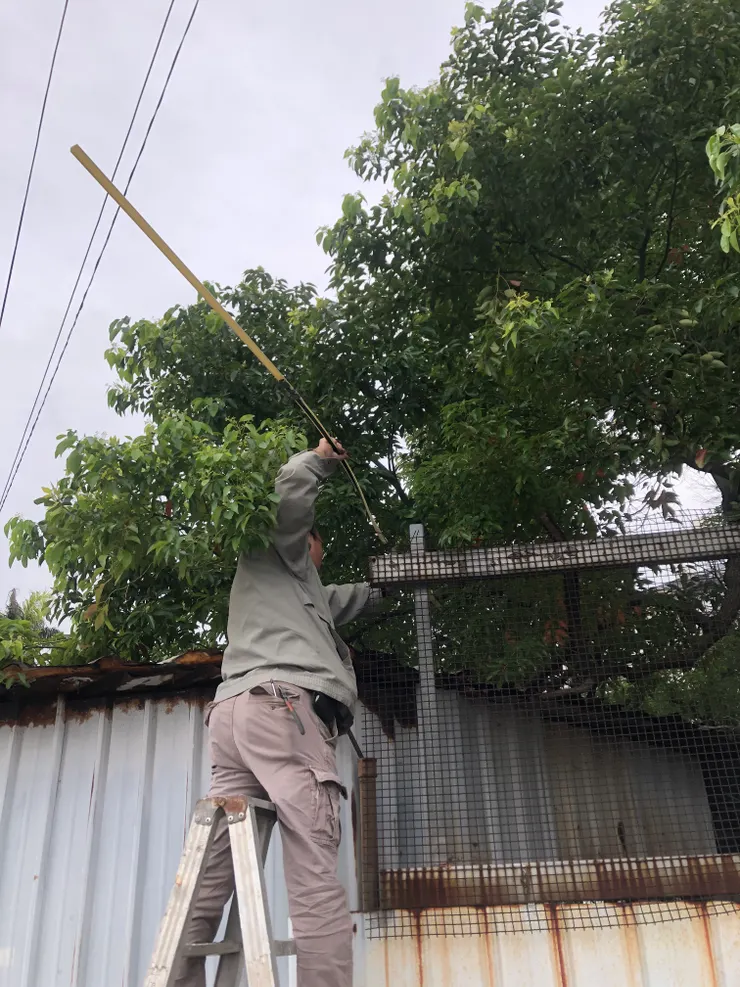 原來壓調可以這樣用？