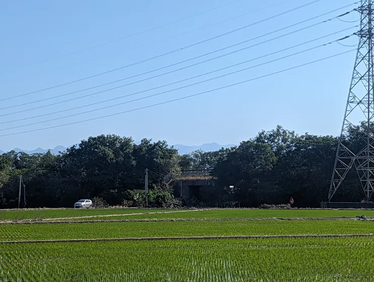 遙控飛機,有看到嗎