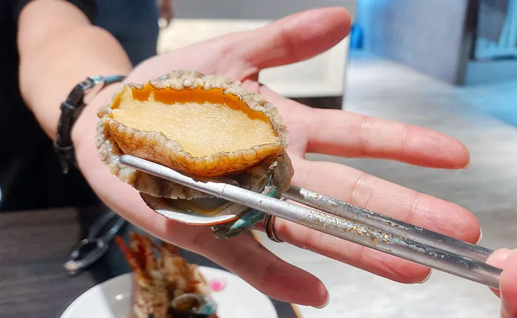 桃園林口火鍋吃到飽推薦-魔椒頂級鴛鴦鍋-林口店