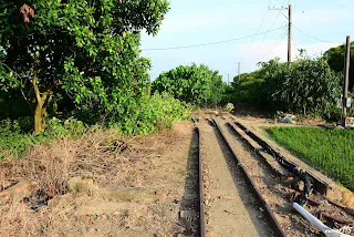 左邊的磚牆圍成的區域是轉轍器閘柄的遺跡
左：會車側線，右：過溝線-往南靖方向拍&nbsp;