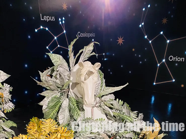 獨角獸預示著美好的事情即將發生 (2022)