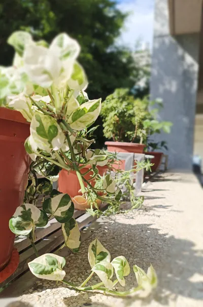 人最終會感覺「是一個人」