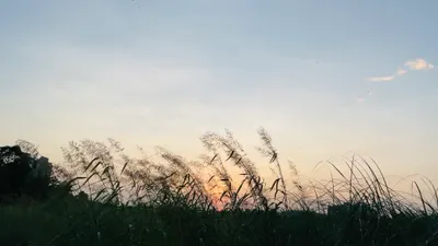 sisia/ziya ➵太陽；日