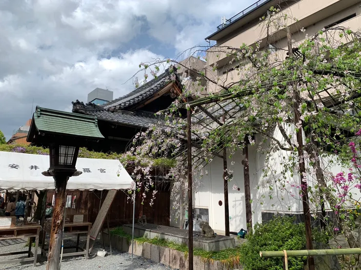 安井金比羅宮一景