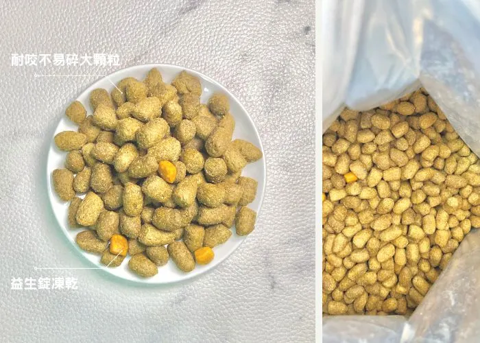 Nutrience紐崔斯CARE+無穀處方貓糧 口腔護理配方