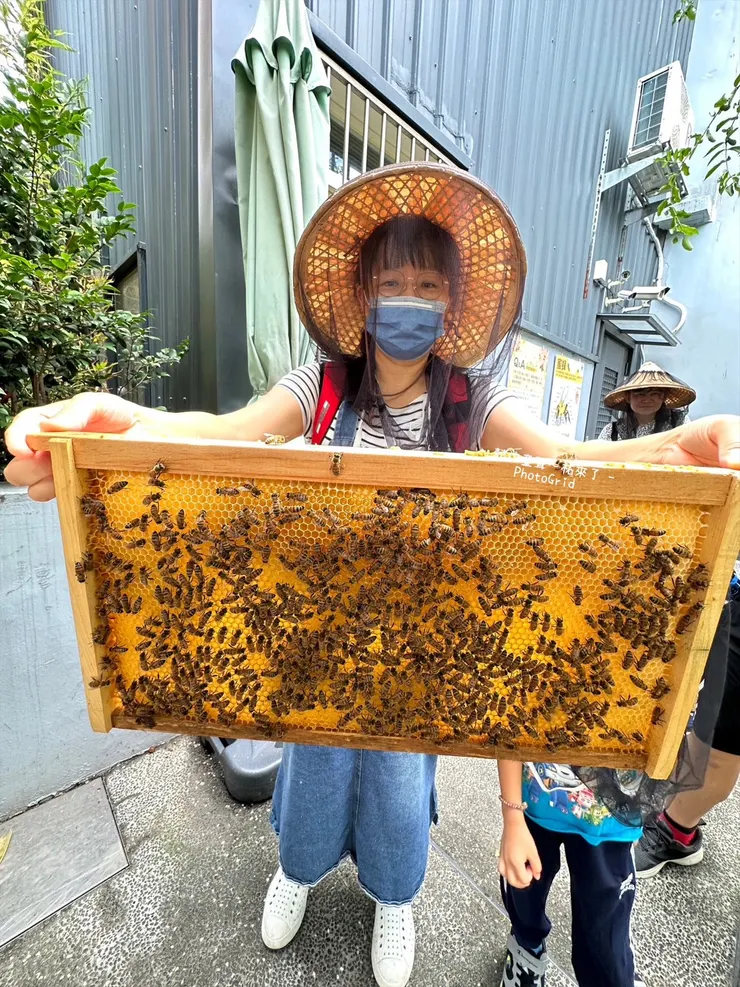 一大片的蜜蜂在眼前是一種震撼。