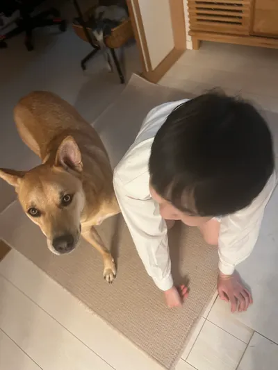 小日光想看我女兒的短髮