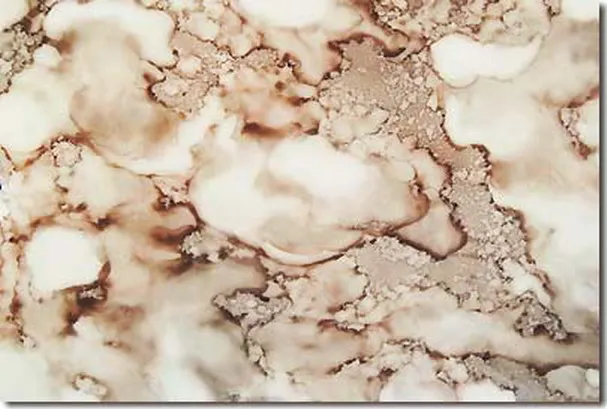 Yang-Zhi Jade by H.H. Dorje Chang Buddha III