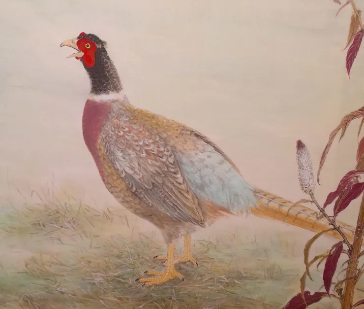 〈雉鴝萬里霜/霜晨鴝聲〉局部-雉雞