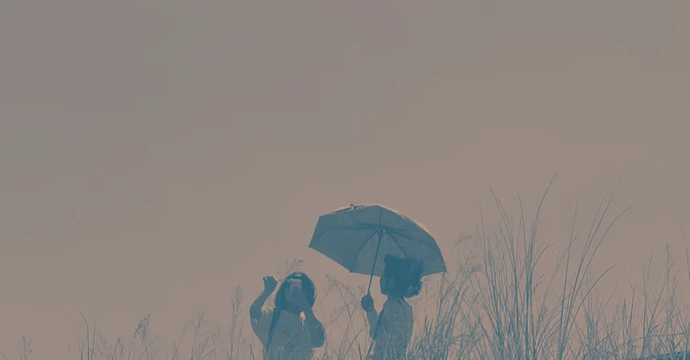 她藍小姐的沙龍