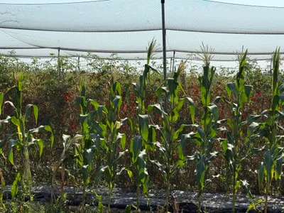 終於停下來幫她們拍照留念