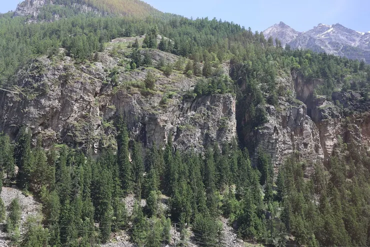 行走於阿爾卑斯山區，曾以為一切純淨。直到看見《Untamed》，才意識到：風景之外，還有現實未曾說出的層次。