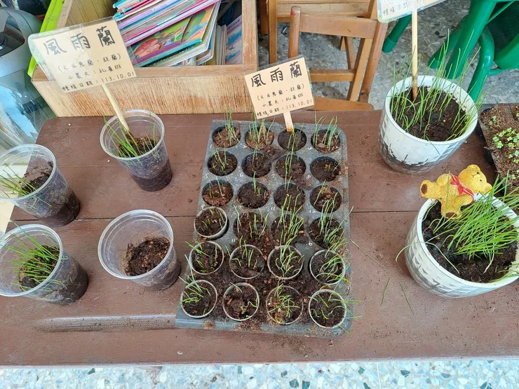 幼兒園實作課程