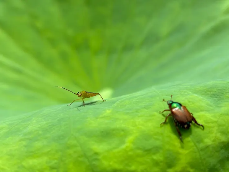 有些對峙不說話，卻張力十足。 職場中那些「你不能走，除非我先飛」的領導者，從來不明說，但控制與懼怕早已寫在細節裡。