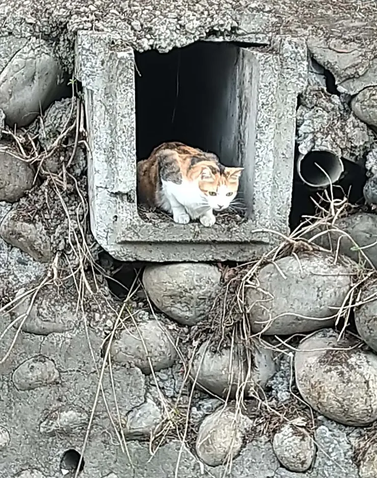 〝親愛的，前面沒有路！〞 你可願意相信？