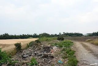 (9318)-遠方樹林是旱知溪河岸(往新港方向拍)