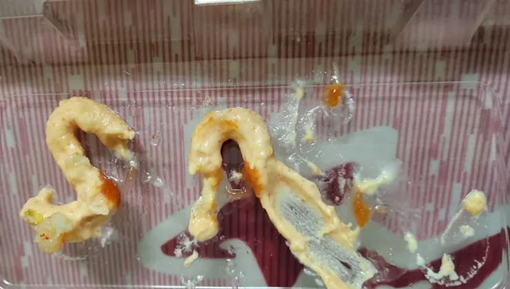 年在包裝盒上的醬料