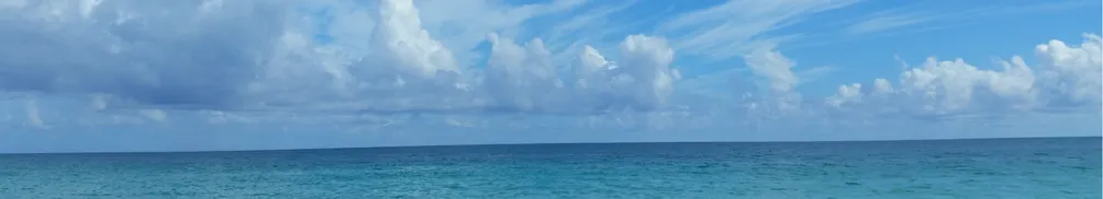 Denim看世界的沙龍