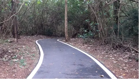 舒服的自行車道。