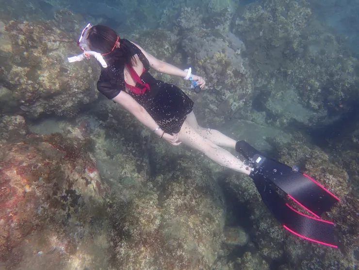 精采的玩樂_Delia提供