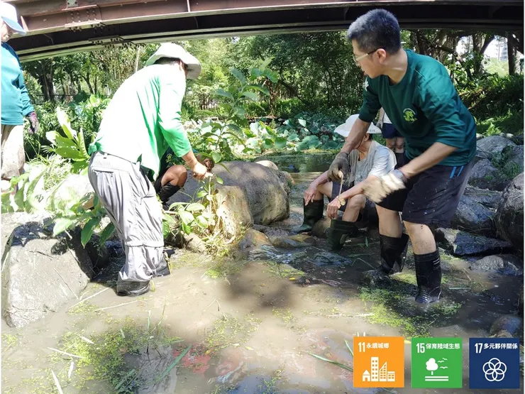 正清通水道的荒野棲地夥伴