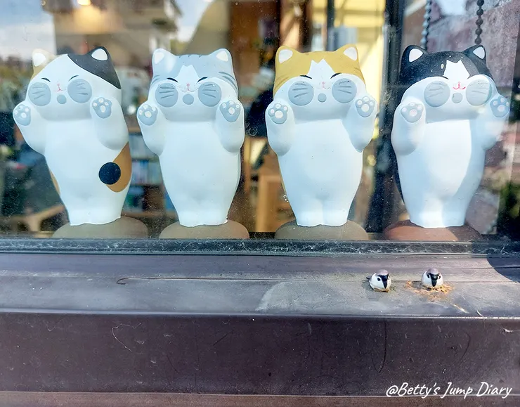 ▲新竹竹北-貓角落 CAT Corner /圖片來源：Betty's Jump Diary