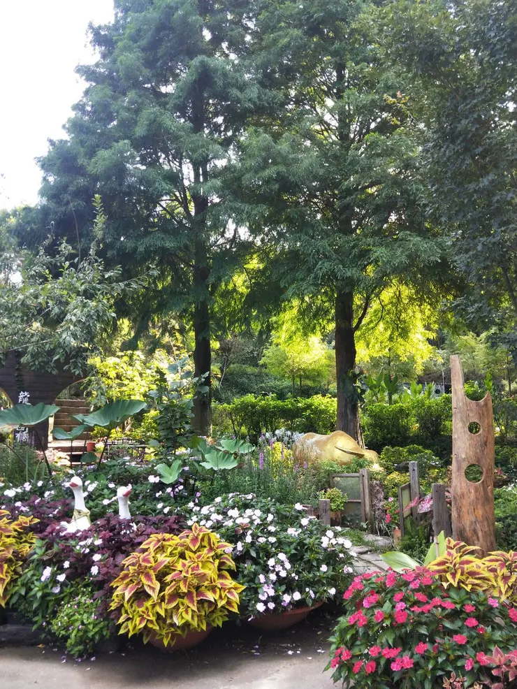園區的各角落植物、花園都非常美麗