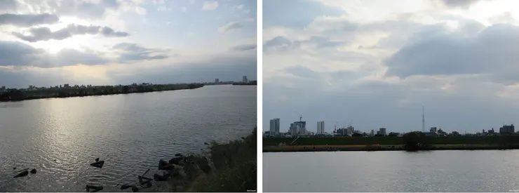 2025年江戶川河堤