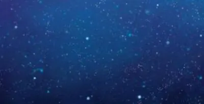 滿天星的奇幻世界