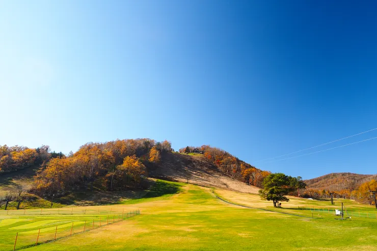 秋天的滑雪場雖然沒有營業，但是楓景很美