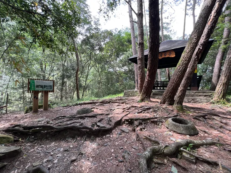 神社遺址，只剩兩座鳥居基座