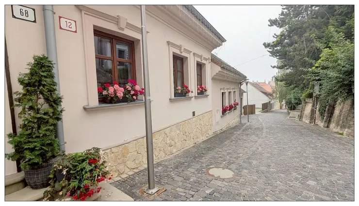 一大早步出房門外的景色