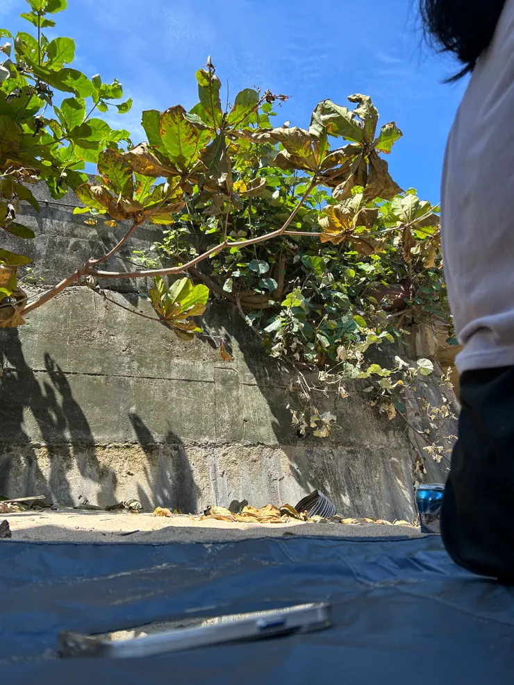 ⟨橋墩下的秘密基地⟩