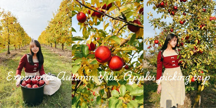 華沙秋天旅遊｜波蘭自採蘋果體驗攻略！從市區搭火車一小時就能到的夢幻果園