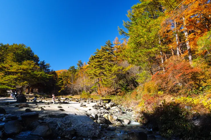 秋天的西之河原公園是個賞楓的小地方