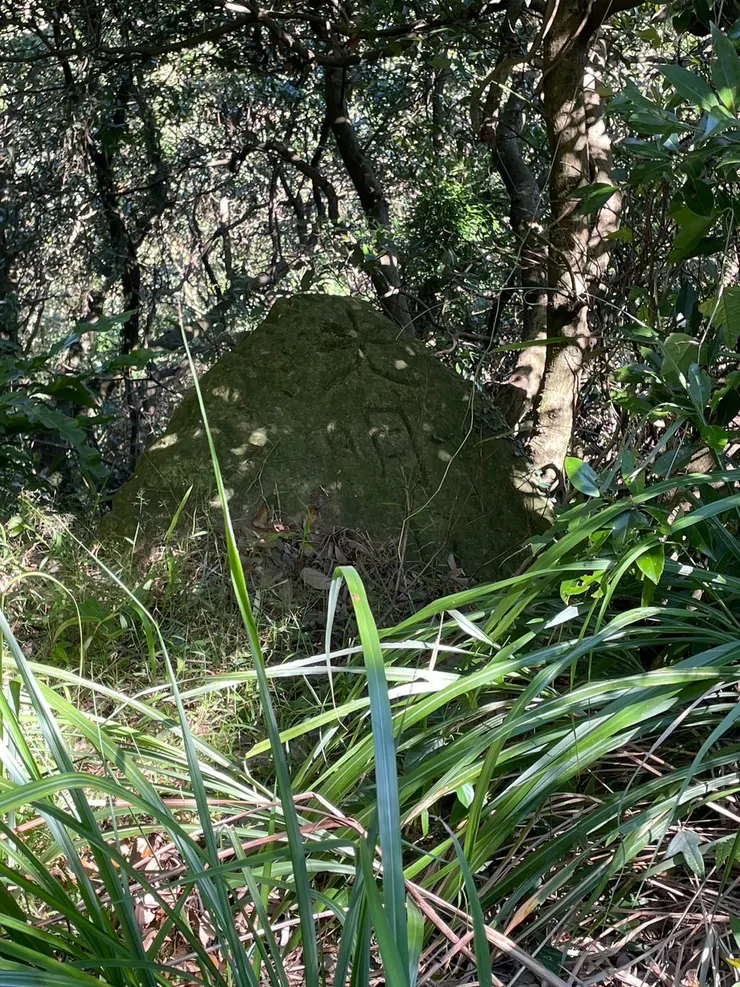 大樹佛旁有一石刻(光明)