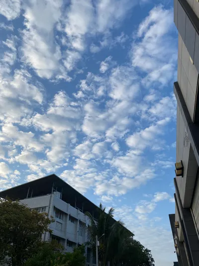 【大叔雲端】撥雲見日的公益清晨：有一種善良，叫作大氣的溫柔