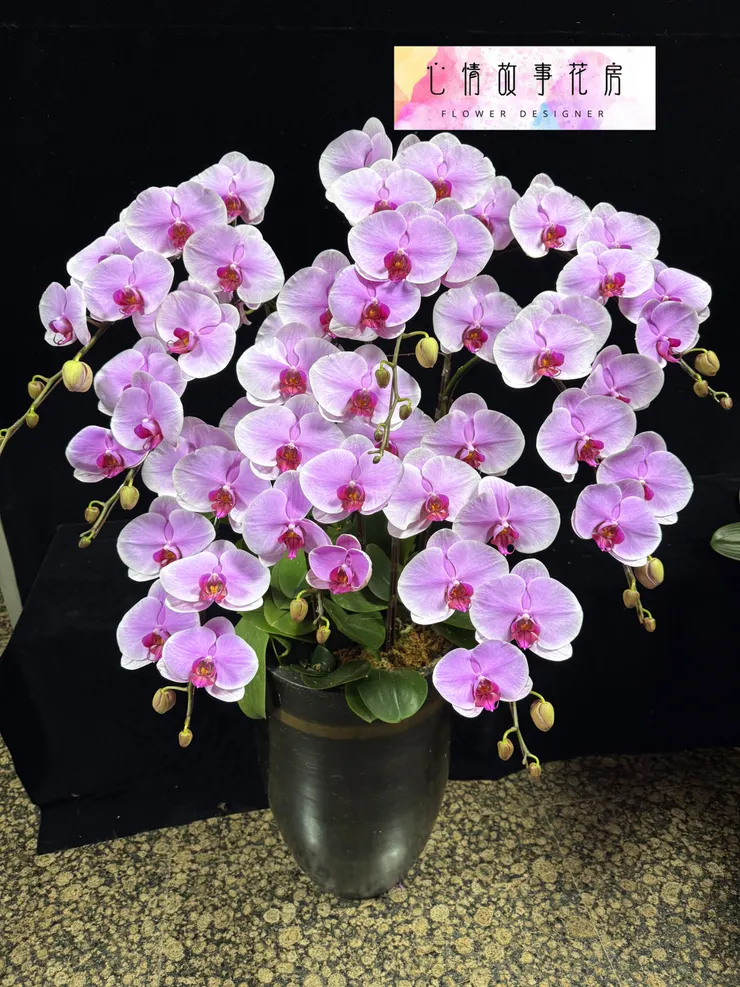 台南少數使用「出口等級蘭花」的花店｜重要場合送禮，一定要知道心情故事花房