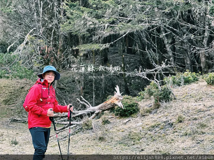 【丹大林道.六順山.七彩湖】六順山.海拔3009公尺/波波草