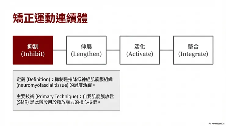 SMR在矯正運動中的角色