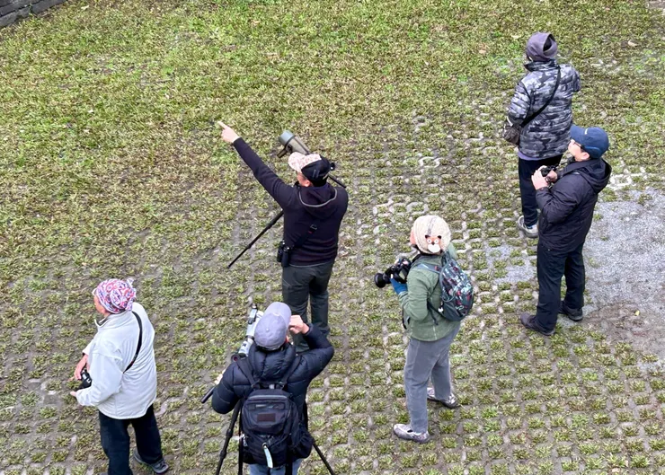 圖21 身手依然矯健的湯姆谷魯斯–谷樺老師，總能快速找到密密林中鳥，並且快速指引團員賞鳥