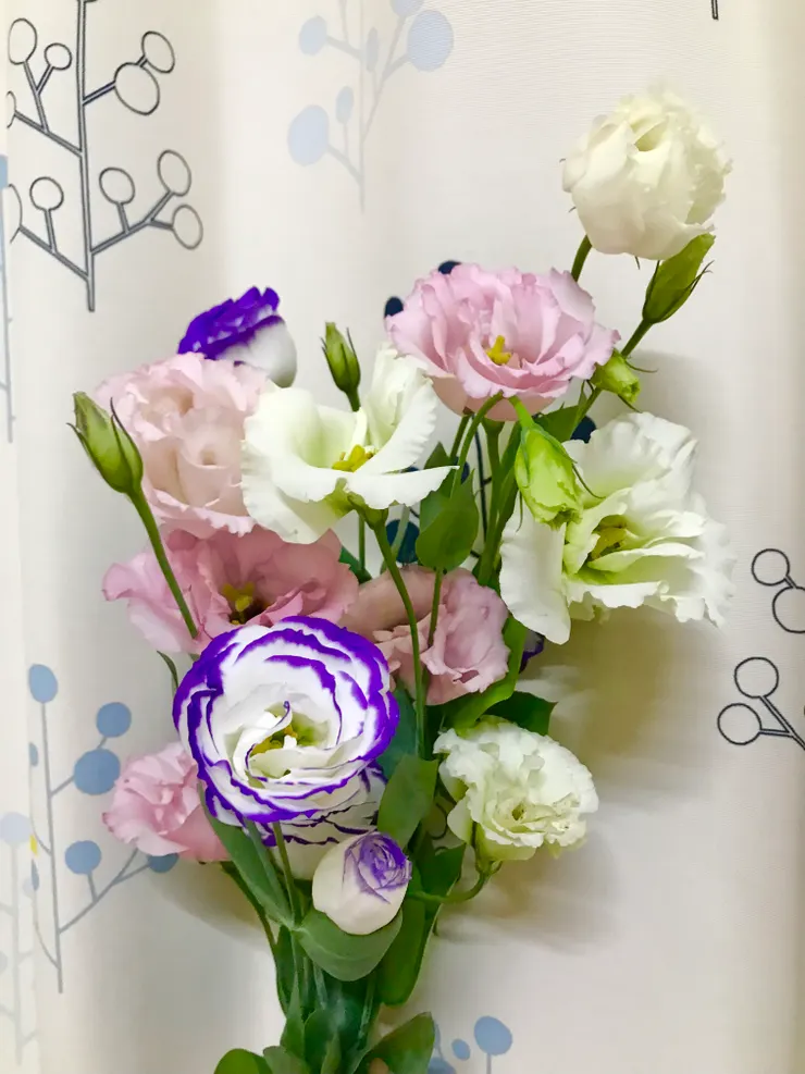 買回來先拍一張