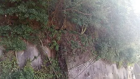 [基隆旅遊]一間澤厚民豐的宮廟、基隆后天宮坐落曾子寮山邊，通