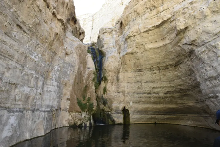 20170317在以色列ARAD曠野(李建崑攝影)